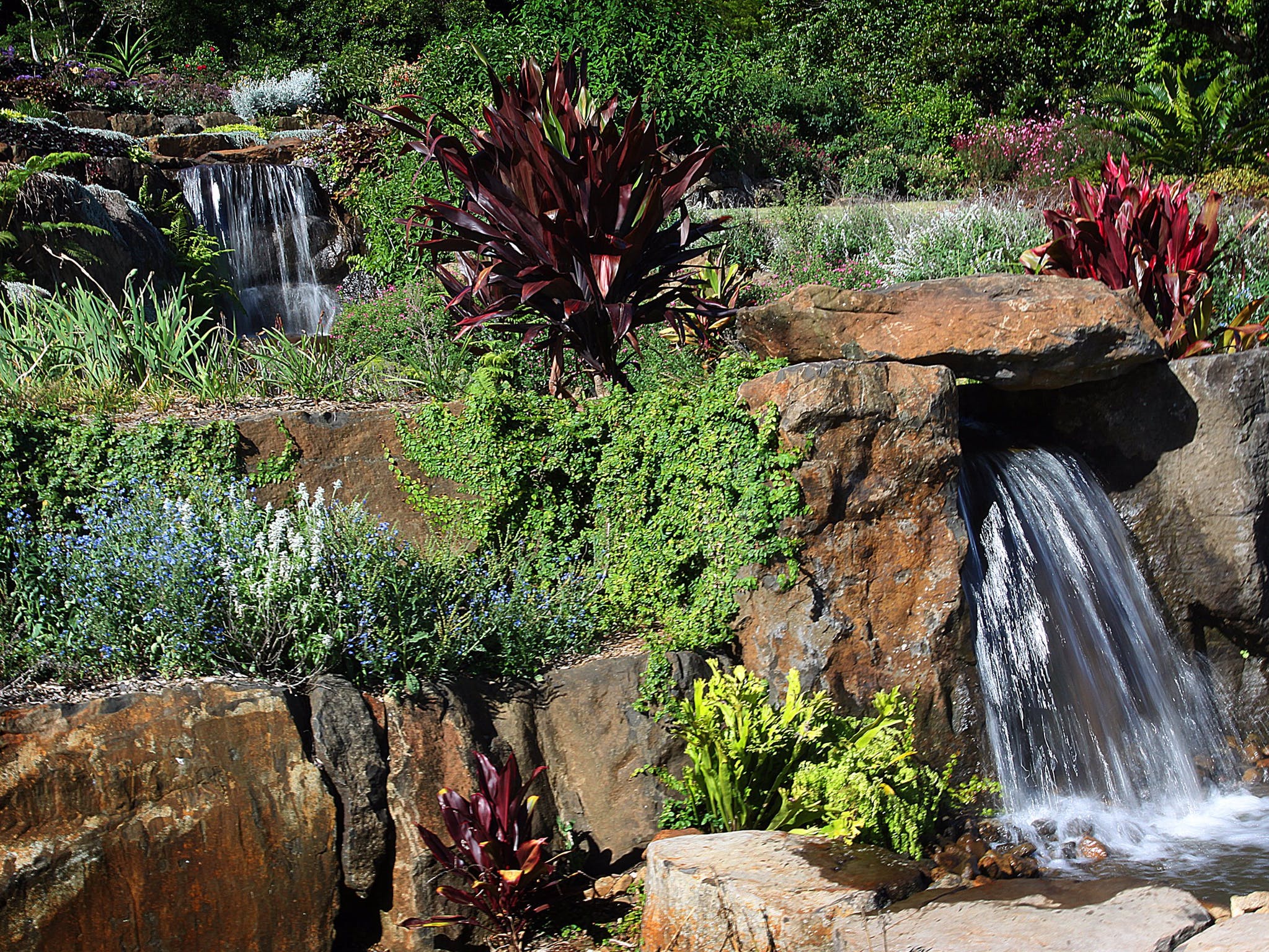 gardens to visit sunshine coast