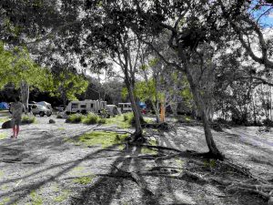 Habitat Noosa Everglades EcoCamp