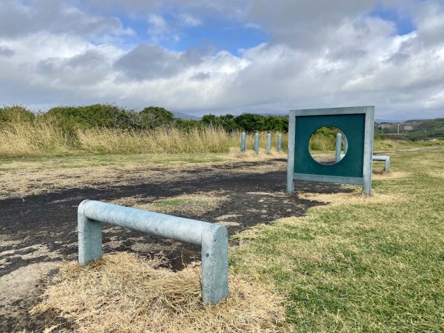 Bombo Headland Off-Leash and Dog Agility Park